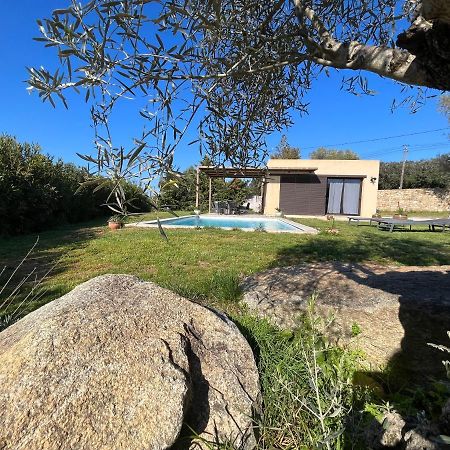 Villa Calisti Belgodère Екстериор снимка