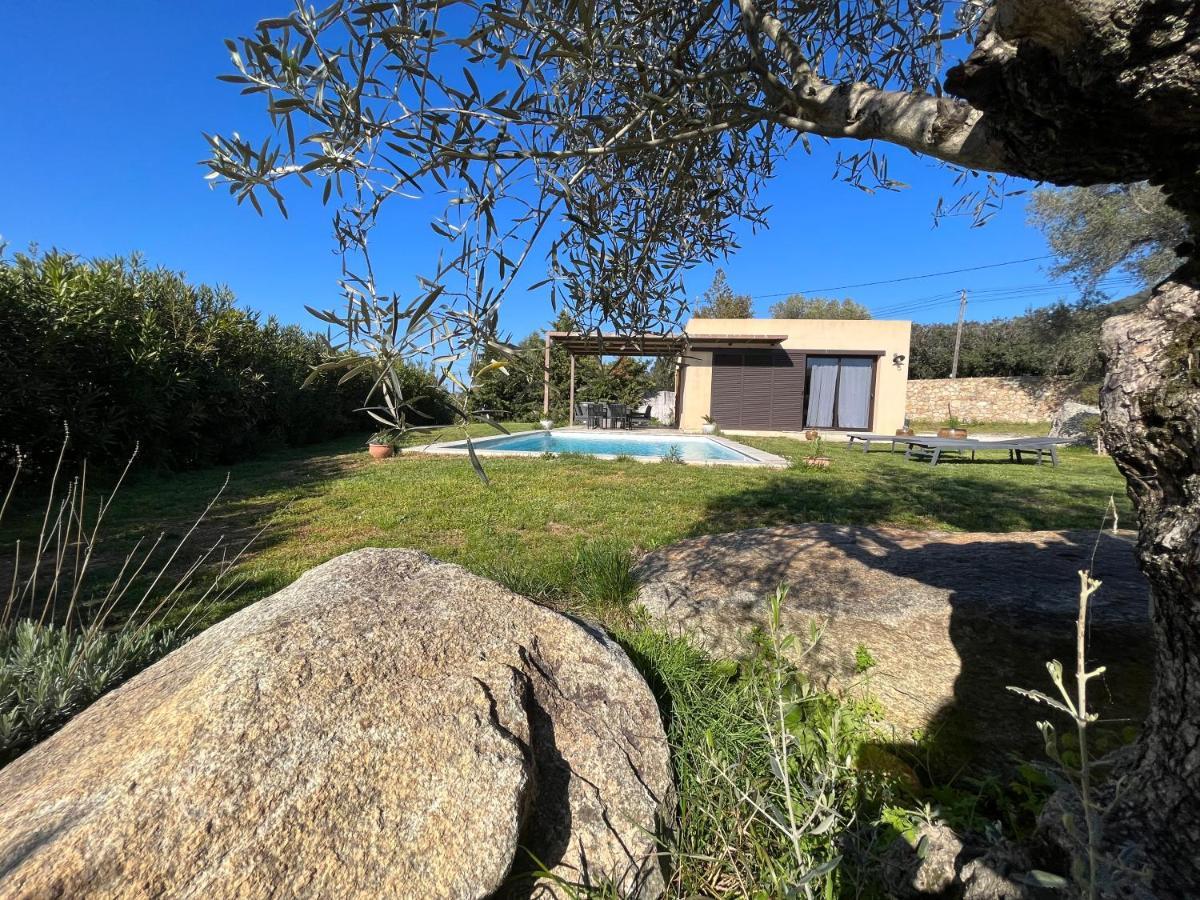 Villa Calisti Belgodère Екстериор снимка